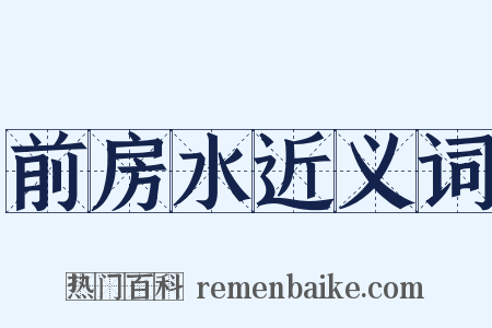 前房水近义词是什么意思的图片